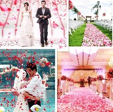 紙吹雪にもなるバラの花びら手品