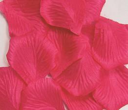 紙吹雪にもなるバラの花びら手品